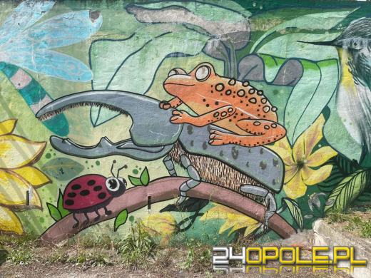 Zwiedź Opole szlakiem miejskich murali
