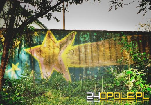 Zwiedź Opole szlakiem miejskich murali