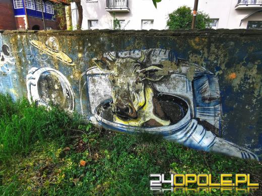 Zwiedź Opole szlakiem miejskich murali