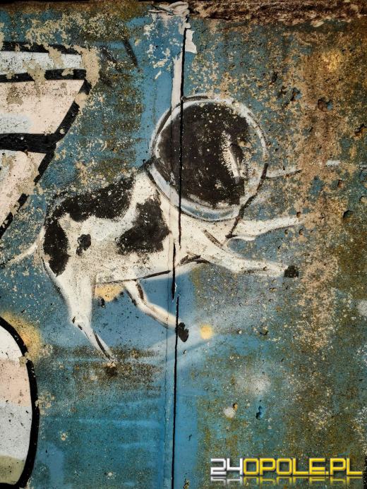 Zwiedź Opole szlakiem miejskich murali