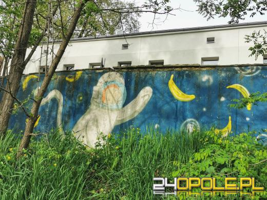 Zwiedź Opole szlakiem miejskich murali