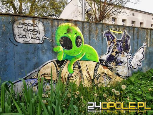 Zwiedź Opole szlakiem miejskich murali