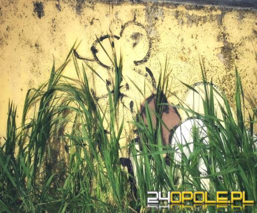 Zwiedź Opole szlakiem miejskich murali