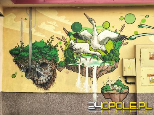 Zwiedź Opole szlakiem miejskich murali