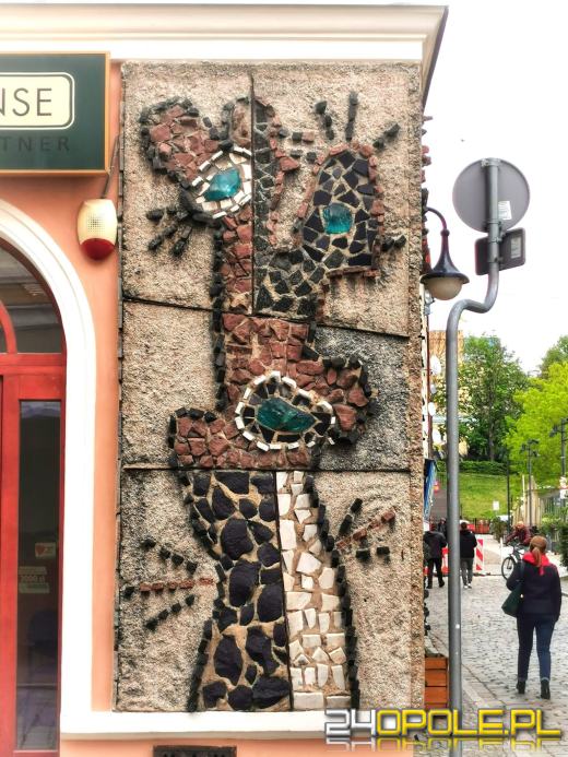 Zwiedź Opole szlakiem miejskich murali
