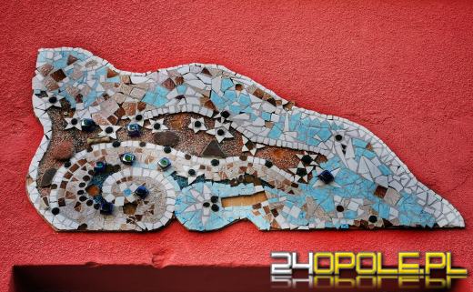 Zwiedź Opole szlakiem miejskich murali