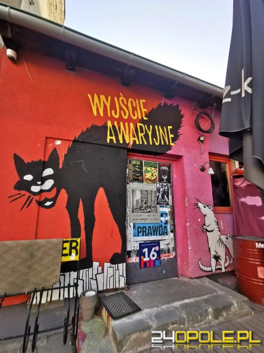 Zwiedź Opole szlakiem miejskich murali