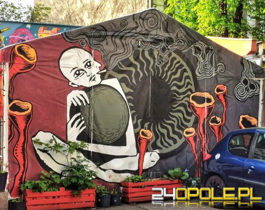 Zwiedź Opole szlakiem miejskich murali