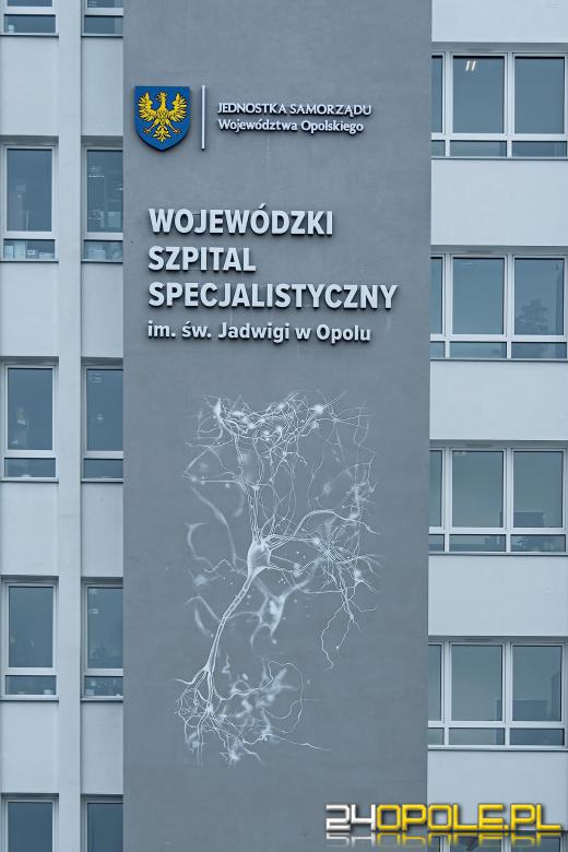 Zwiedź Opole szlakiem miejskich murali