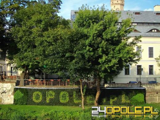Zwiedź Opole szlakiem miejskich murali