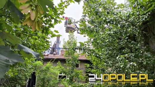 Jedna ofiara pożaru w Tarnowie Opolskim. Osiem jednostek straży pożarnej w akcji