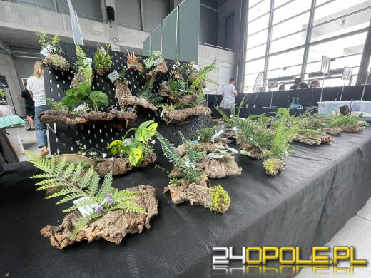 Egzotyczny świat tylko dziś. Odwiedź Terra Aqua Opole