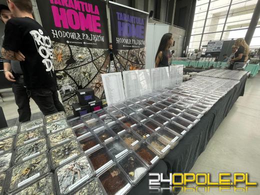 Egzotyczny świat tylko dziś. Odwiedź Terra Aqua Opole