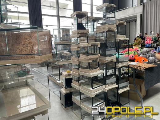 Egzotyczny świat tylko dziś. Odwiedź Terra Aqua Opole