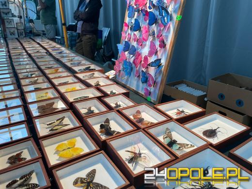 Egzotyczny świat tylko dziś. Odwiedź Terra Aqua Opole