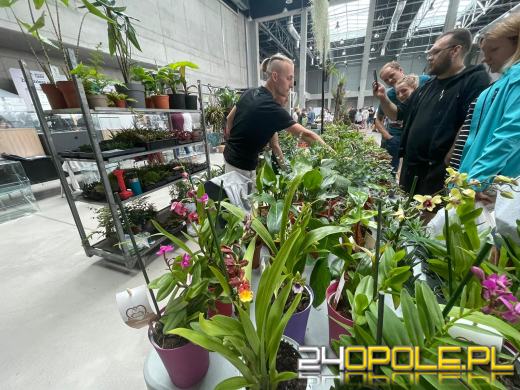 Egzotyczny świat tylko dziś. Odwiedź Terra Aqua Opole