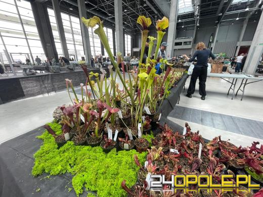 Egzotyczny świat tylko dziś. Odwiedź Terra Aqua Opole