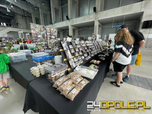 Egzotyczny świat tylko dziś. Odwiedź Terra Aqua Opole