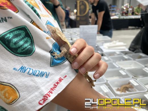 Egzotyczny świat tylko dziś. Odwiedź Terra Aqua Opole