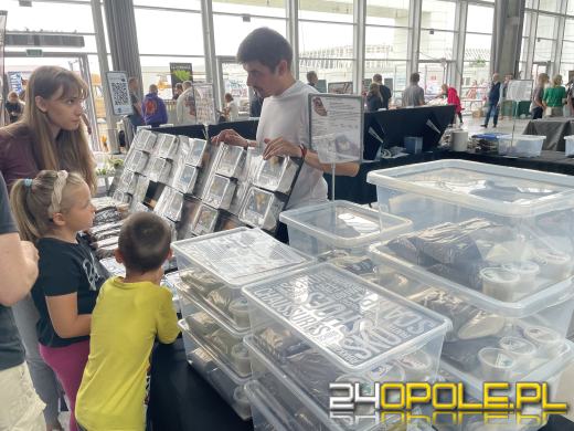 Egzotyczny świat tylko dziś. Odwiedź Terra Aqua Opole