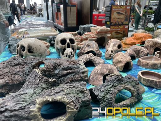 Egzotyczny świat tylko dziś. Odwiedź Terra Aqua Opole