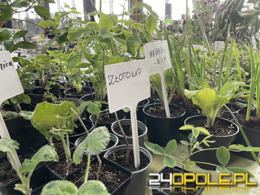 Egzotyczny świat tylko dziś. Odwiedź Terra Aqua Opole