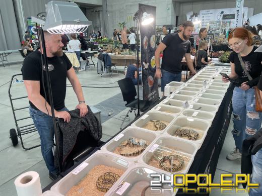 Egzotyczny świat tylko dziś. Odwiedź Terra Aqua Opole