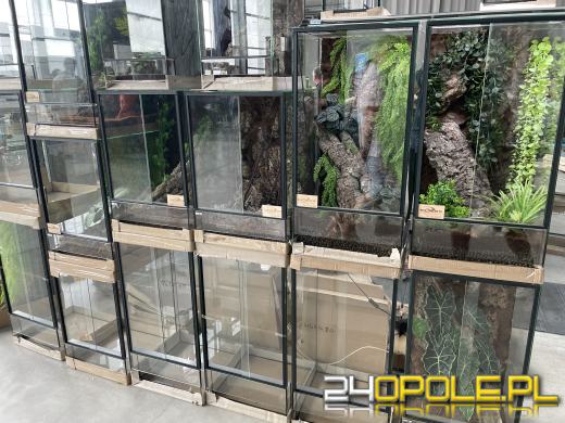 Egzotyczny świat tylko dziś. Odwiedź Terra Aqua Opole