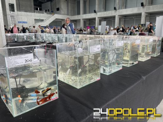 Egzotyczny świat tylko dziś. Odwiedź Terra Aqua Opole