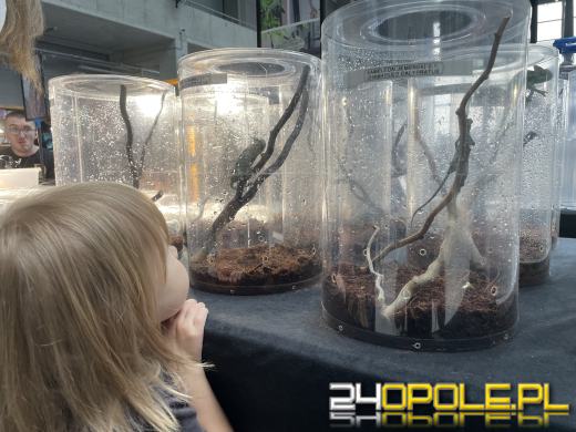 Egzotyczny świat tylko dziś. Odwiedź Terra Aqua Opole