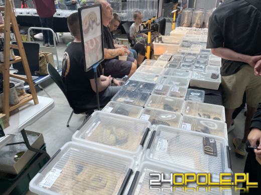 Egzotyczny świat tylko dziś. Odwiedź Terra Aqua Opole