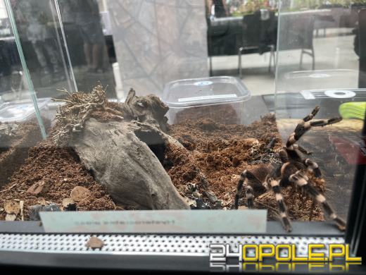 Egzotyczny świat tylko dziś. Odwiedź Terra Aqua Opole