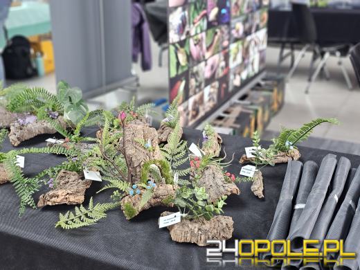 Egzotyczny świat tylko dziś. Odwiedź Terra Aqua Opole