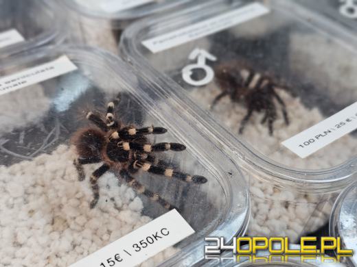 Egzotyczny świat tylko dziś. Odwiedź Terra Aqua Opole