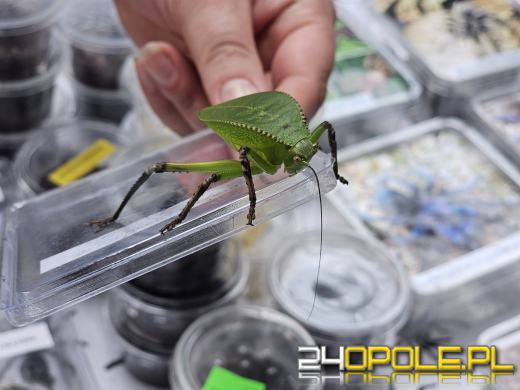 Egzotyczny świat tylko dziś. Odwiedź Terra Aqua Opole