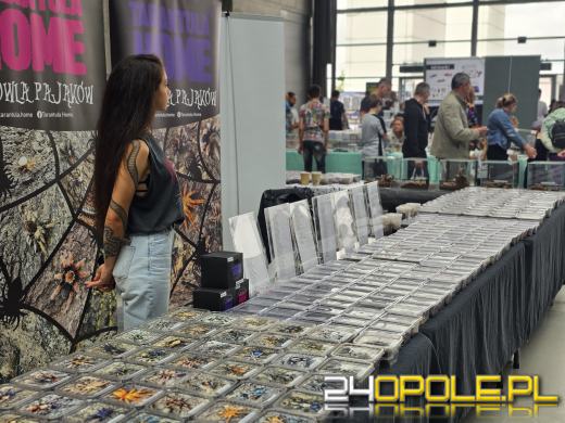 Egzotyczny świat tylko dziś. Odwiedź Terra Aqua Opole