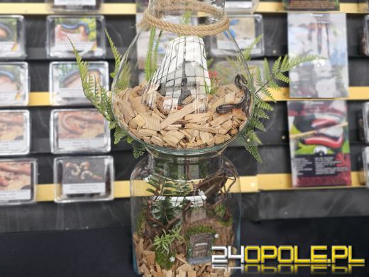 Egzotyczny świat tylko dziś. Odwiedź Terra Aqua Opole