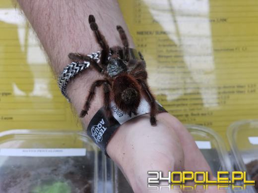 Egzotyczny świat tylko dziś. Odwiedź Terra Aqua Opole