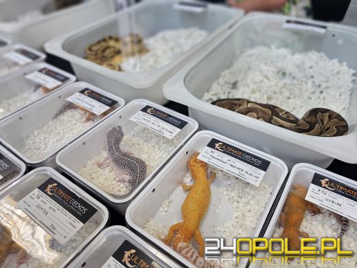 Egzotyczny świat tylko dziś. Odwiedź Terra Aqua Opole