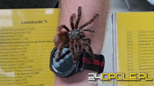 Egzotyczny świat tylko dziś. Odwiedź Terra Aqua Opole