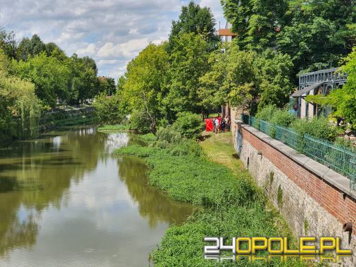 Tragiczny wypadek na Młynówce: Mężczyzny  nie udało się uratować