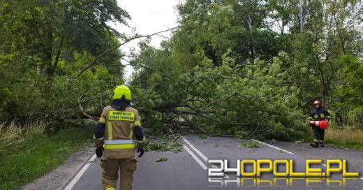 Ponad 80 zgłoszeń związanych z warunkami atmosferycznymi w województwie opolskim