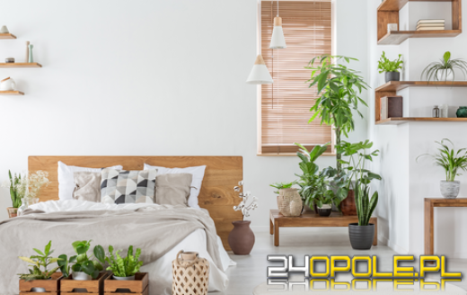 Zrównoważony rozwój i meble do sypialni