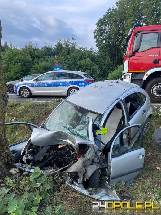 Wypadek na trasie Domaszowice-Gręboszów.  Kobieta zasnęła za kierownicą 