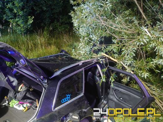 Śmiertelny wypadek w Przydrożu Wielkim. Trzy osoby nie żyją