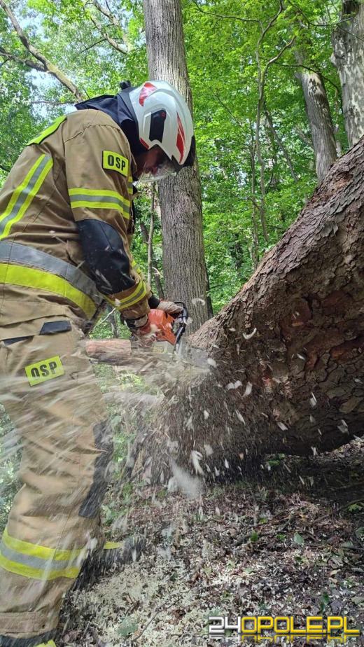 Silne burze i podmuchy wiatru w województwie opolskim. Ponad 100 interwencji 