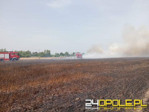 Dwa poważne pożary w województwie opolskim