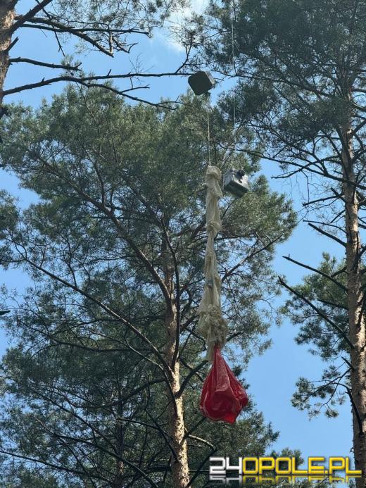 Balon stworzony przez 13-latka doleciał aż do stratosfery