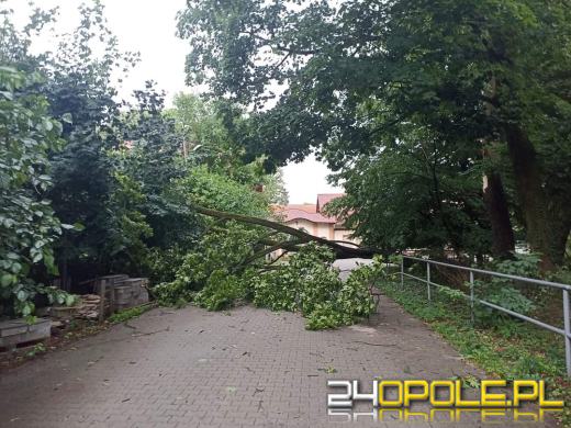  Burze nad Opolszczyzną spowodowały 89 interwencji strażaków 