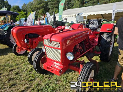 Trwa Zlot Oldtimerów w Dobrzeniu Wielkim